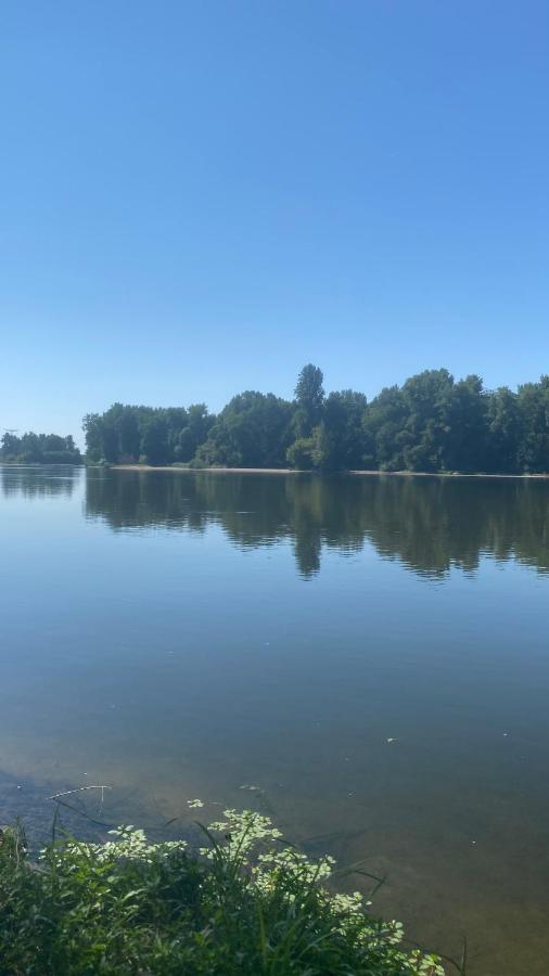 Blanche De Castille Bléneau Exteriér fotografie